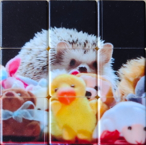 Lucy friends pattern.