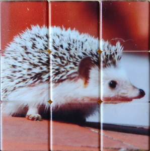 Lucy posing pattern.